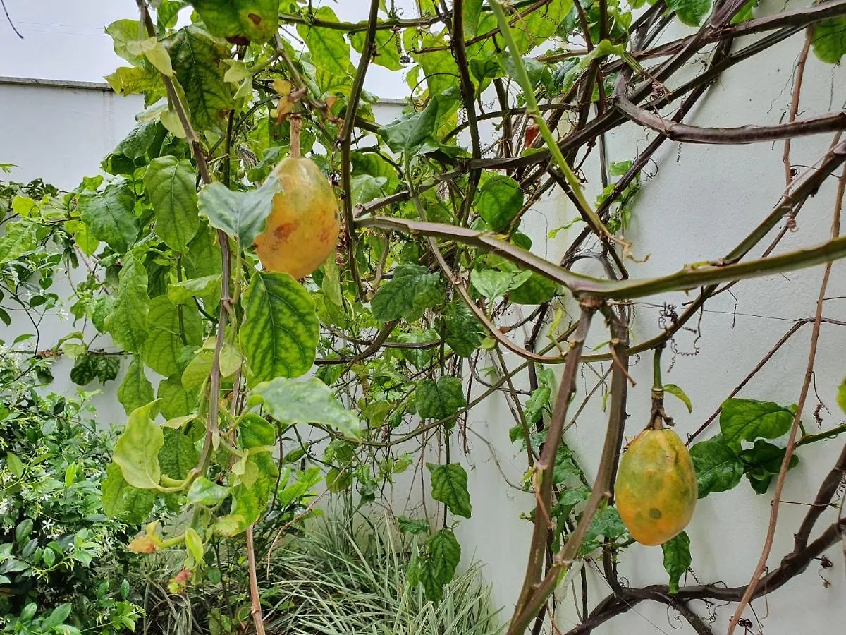 Las Gardenias Florianópolis 0*,  巴西
